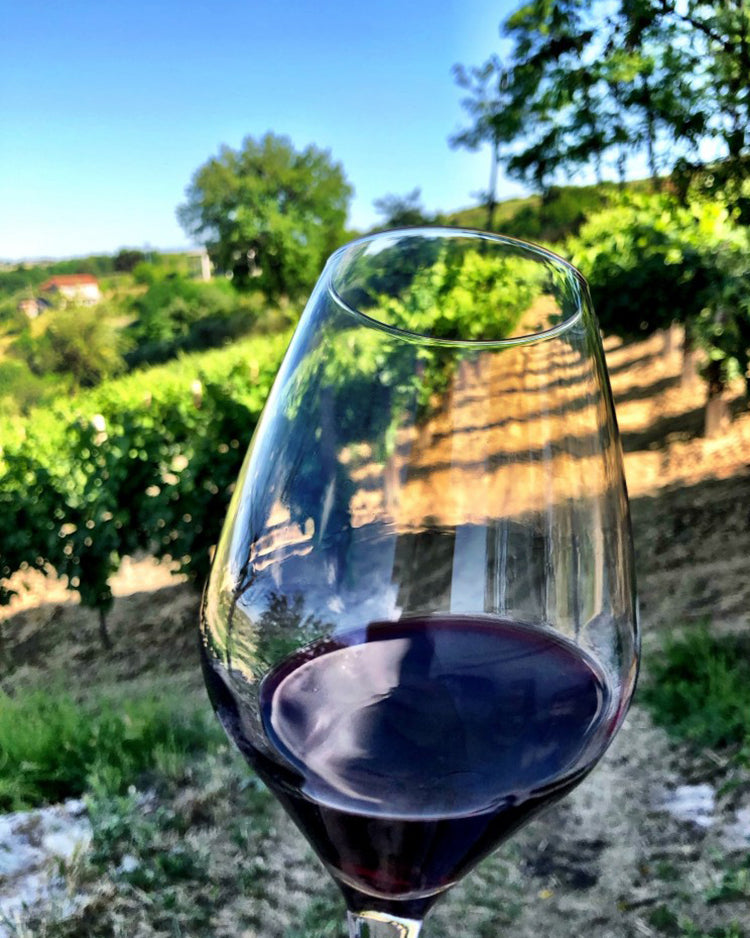Benevento Aglianico IGP