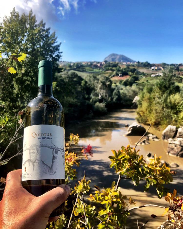 Benevento Falanghina IGP