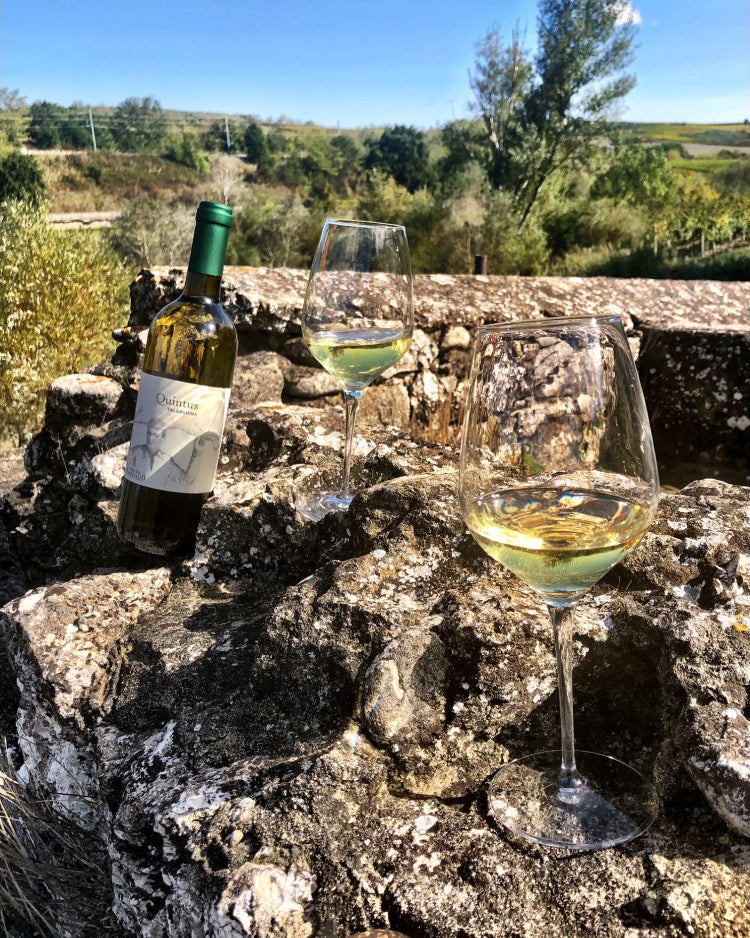 Benevento Falanghina IGP