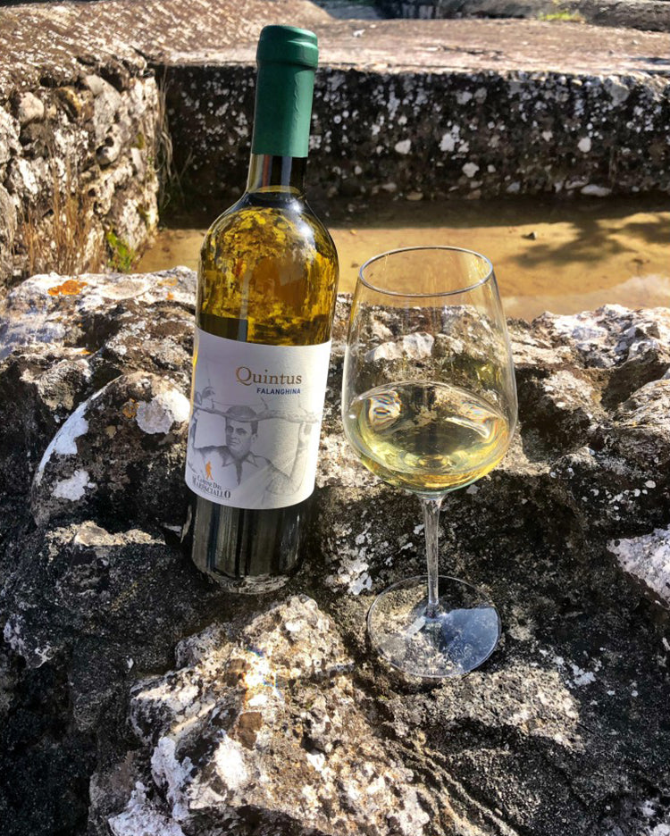 Benevento Falanghina IGP