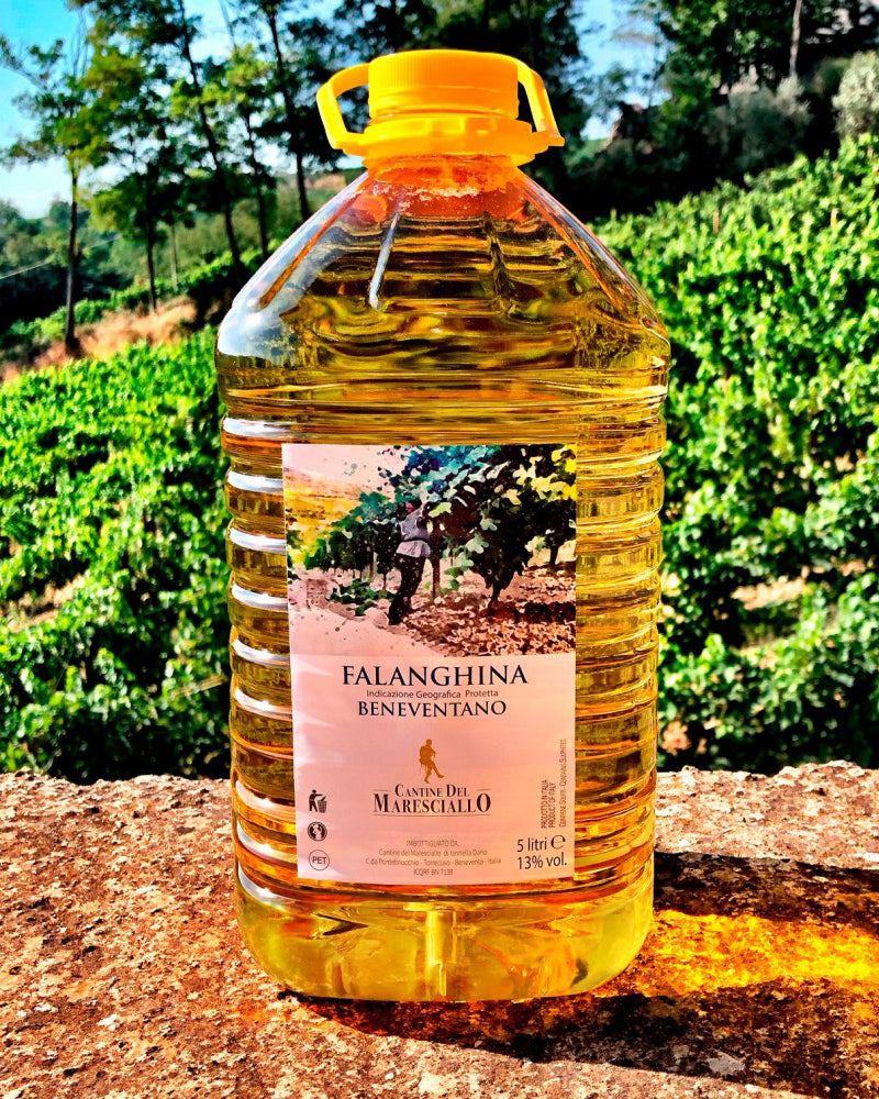 Falanghina Campania IGP - 5 litri