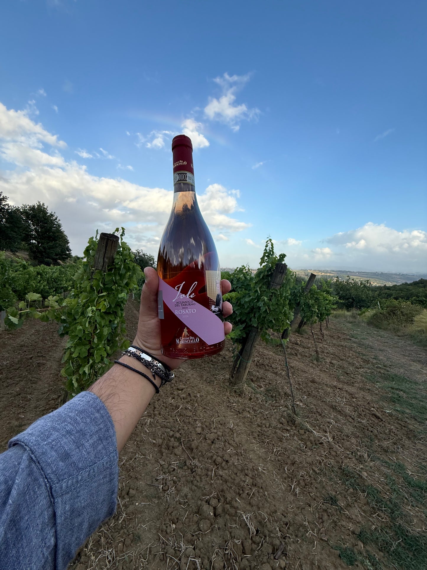 Aglianico del Taburno DOCG Rosato