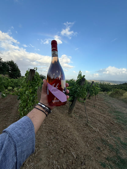 Aglianico del Taburno DOCG Rosato