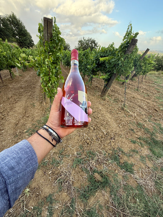 Aglianico del Taburno DOCG Rosato