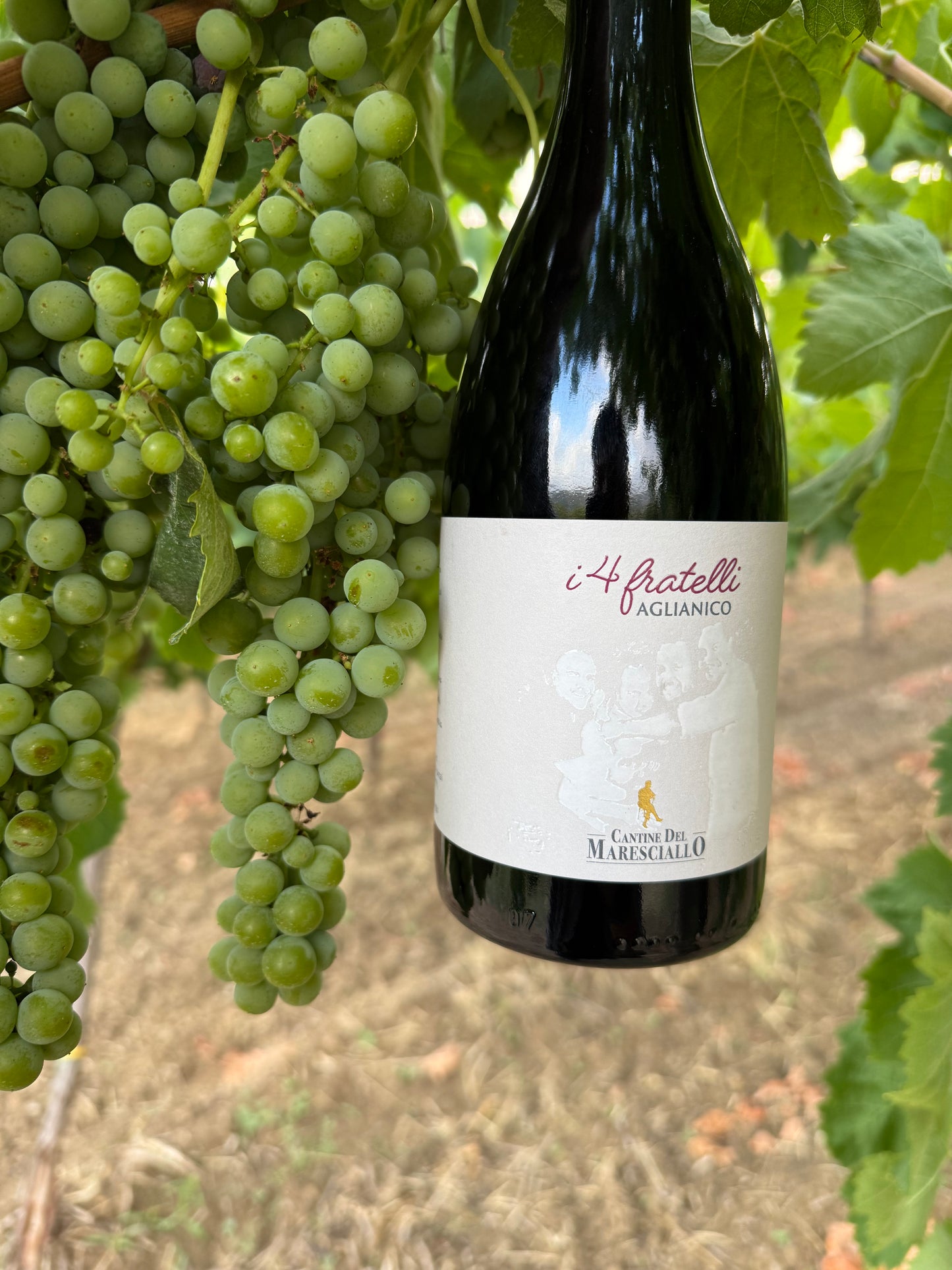 “I 4 Fratelli” Aglianico IGP Campania